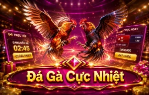Giao diện Đá Gà pandorasboxmods trên mobile